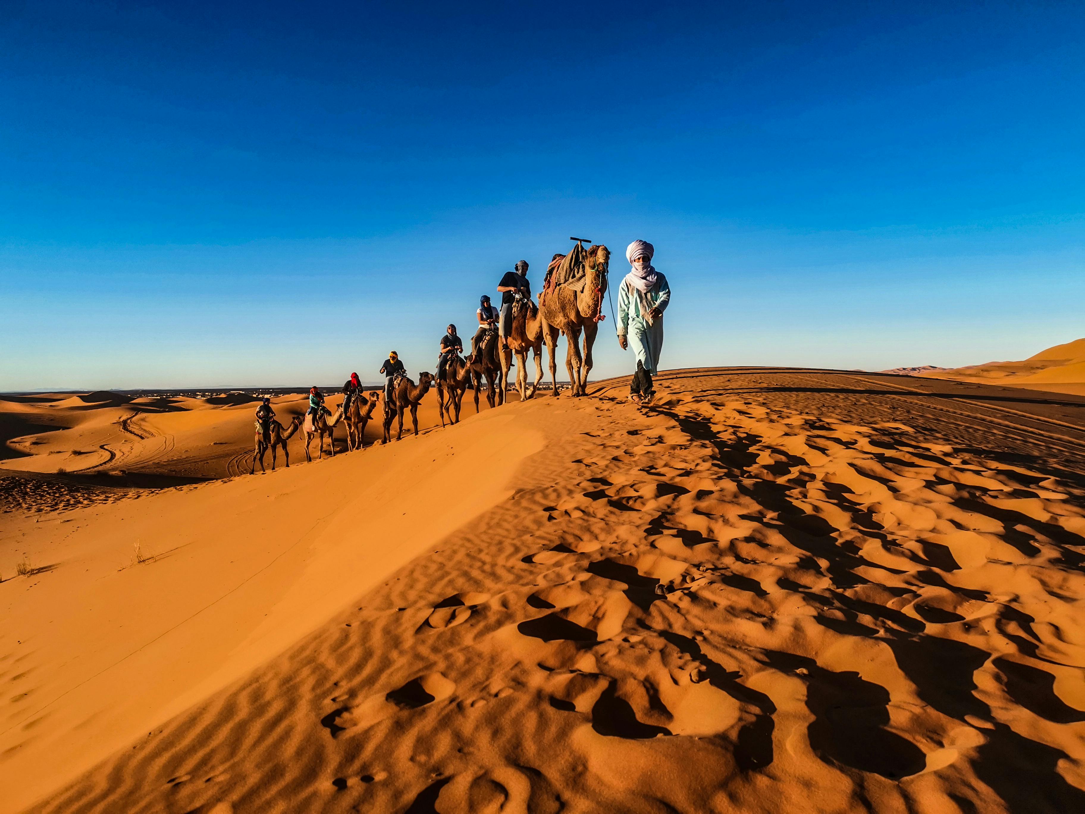 Morning Desert Safari with Dune buggy ride