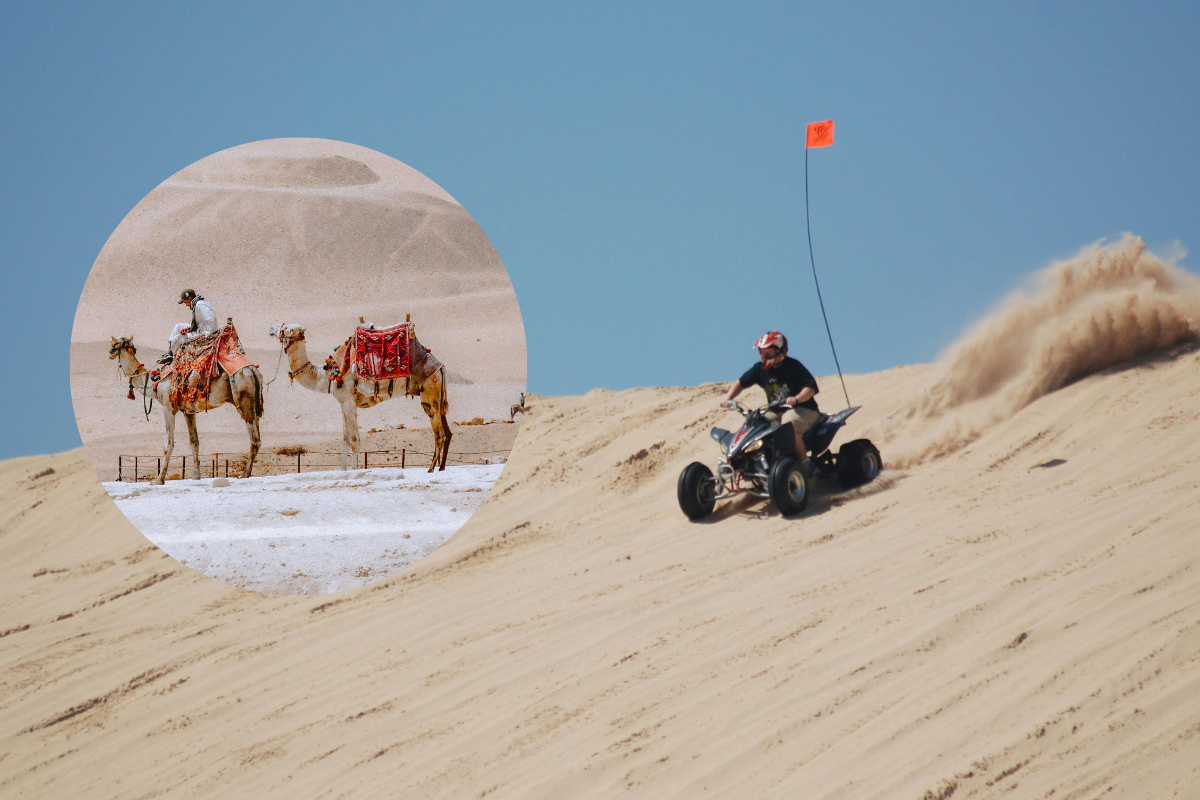 Morning Desert Safari with Quad Bike and Camel Ride